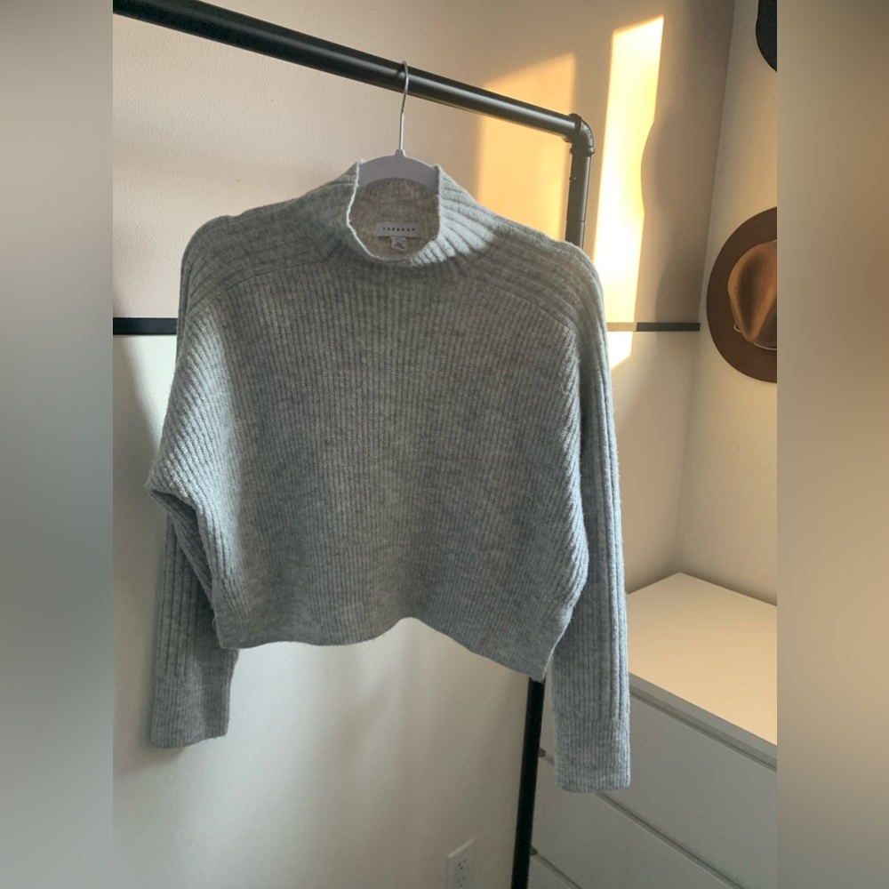 TOPSHOP cropped turtleneck